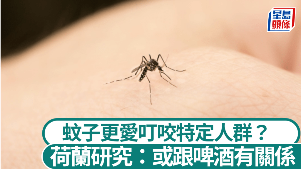 荷蘭研究發現喝過啤酒的人被蚊子叮咬的可能性高1.35倍。iStock