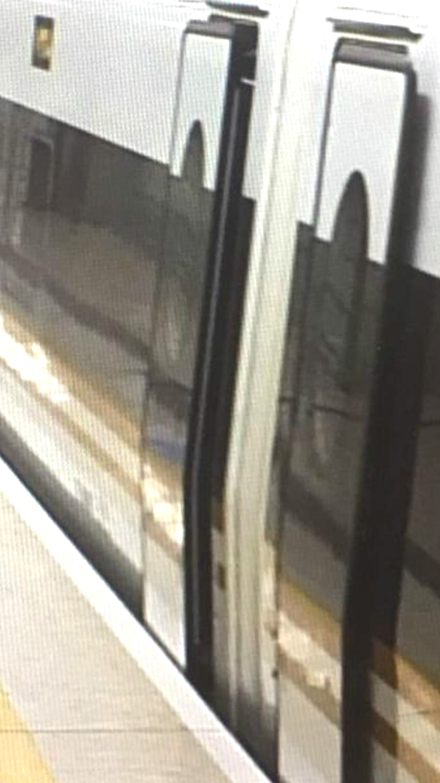 涉事列车图片。谭文豪提供