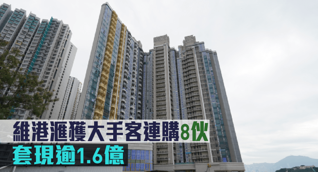 維港滙獲大手客連購8伙,套現逾1.6億。
