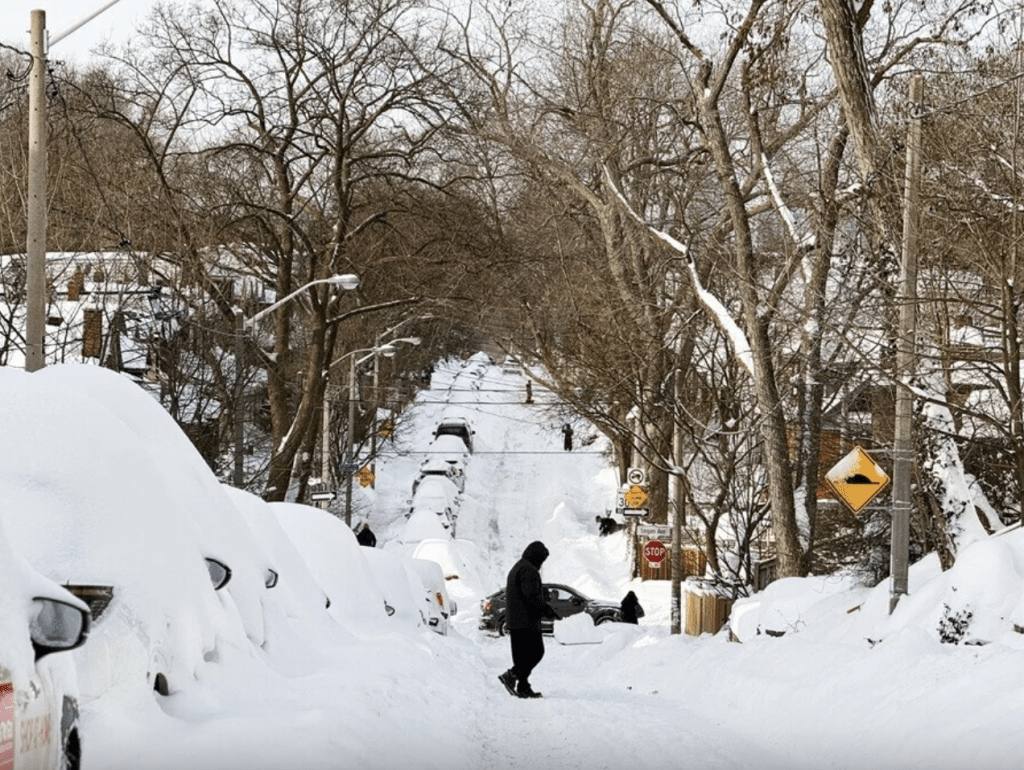 在这张新闻图片中，几乎所有车顶都被大雪所掩盖。路透社