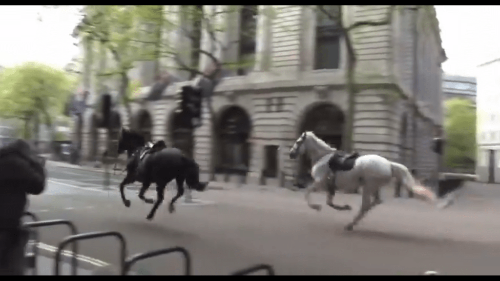 網傳影片顯示一黑一白的軍馬在倫敦街頭風馳電掣。 X