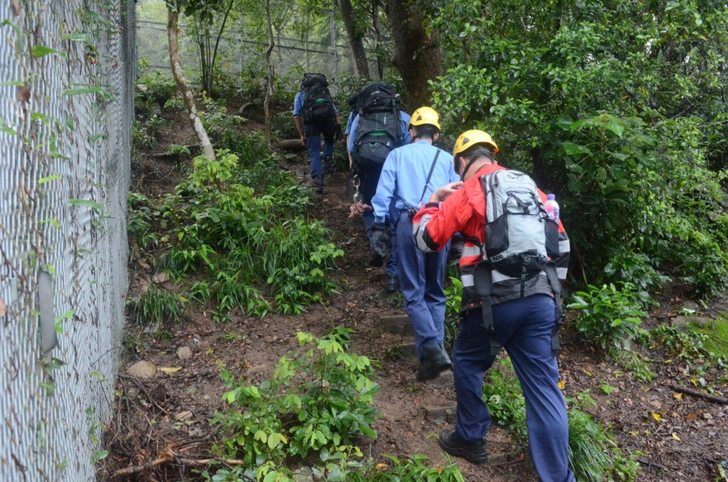 消防登山拆除。