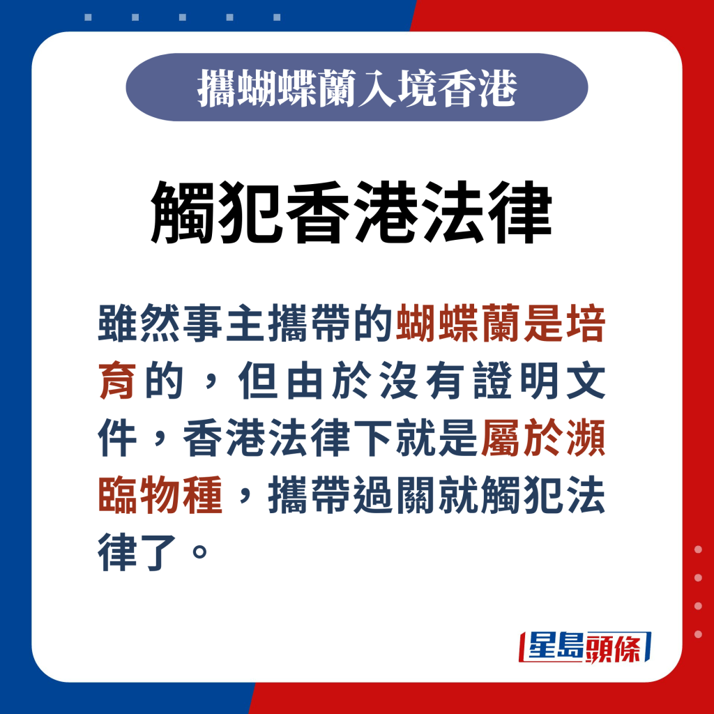 虽然事主携带的蝴蝶兰是培育的，但由于没有证明文件，香港法律下就是属于濒临物种，携带过关就触犯法律了。