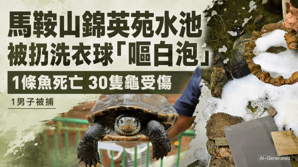 馬鞍山錦英苑水池被扔洗衣球「嘔白泡」1魚當場死 30龜受傷 警拘1男