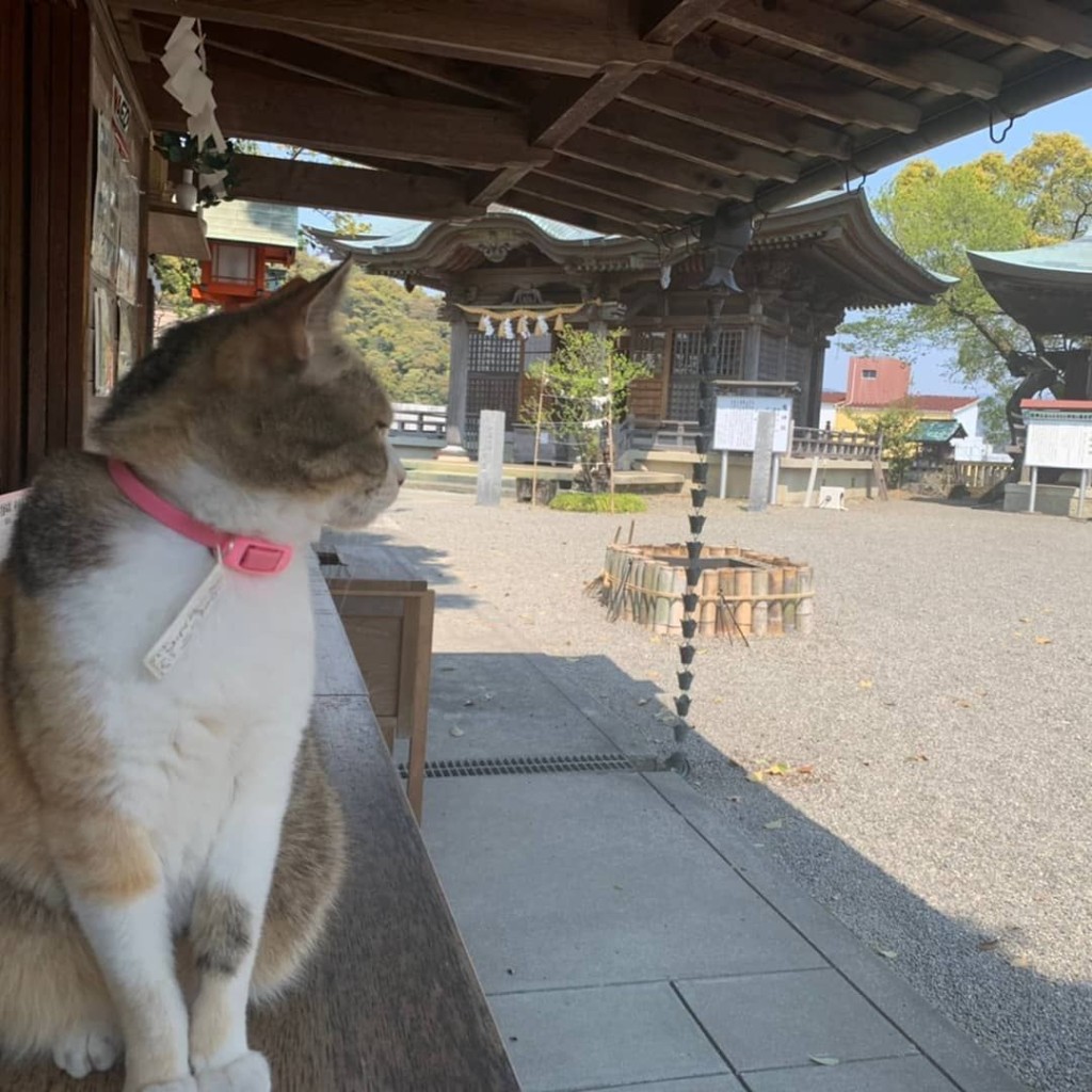 牠原本掛上寫有「謝謝參拜」的白色字條。「shimantocity_tourism」IG圖片