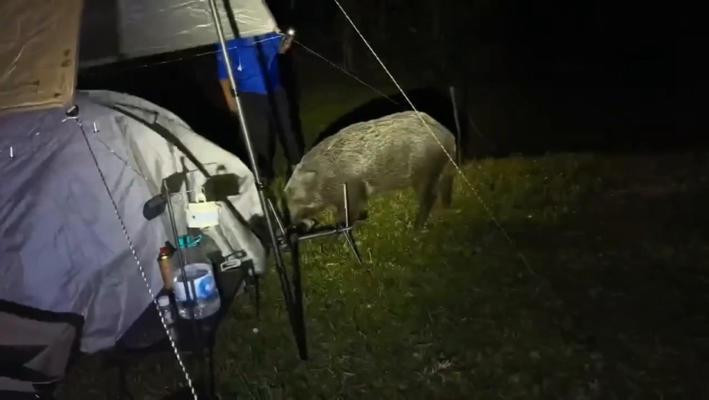 Threads截圖(資料來源:szewai_li@Threads) Threads截圖(資料來源:szewai_li@Threads)