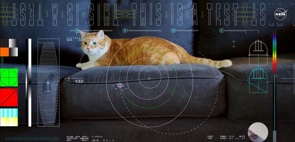 Taters在沙发追逐激光光点的影片，极速在网络广传，让它成为「网红猫」。NASA