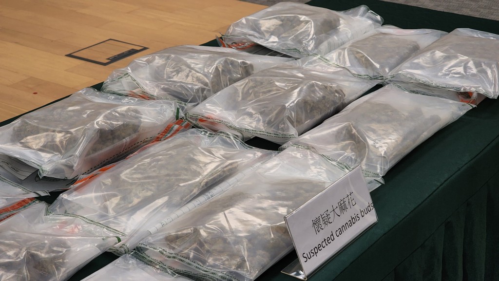 海關檢獲130萬元的懷疑大麻花。 海關檢獲130萬元的懷疑大麻花。