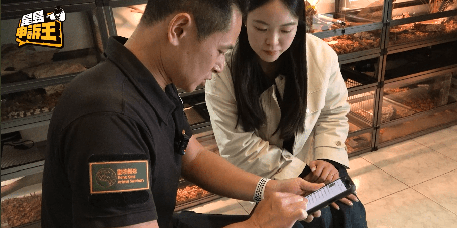 阿邦指，有內地網購平台聲稱可以包郵鱷龜到港，情況令人感到擔憂。
