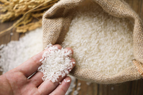 「一粒萬倍日」寓意一粒米變了一萬粒米。