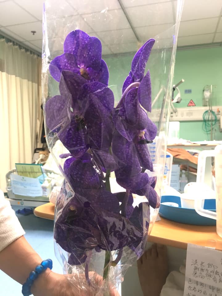 （臉書圖片）