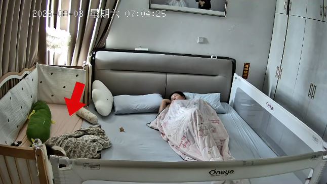 山东有机灵猫咪及时吵醒女主，求回险被焗死的BB少主。抖音＠系小多米（带娃中）