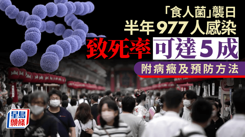 日本「食人菌」︱半年977人感染創新高  死亡率高達5成