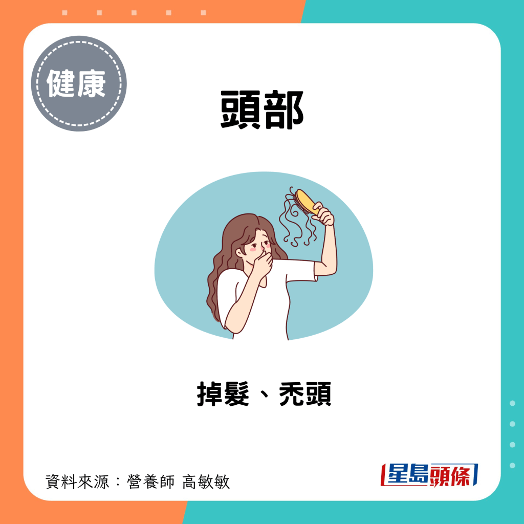 头部：掉发、秃头