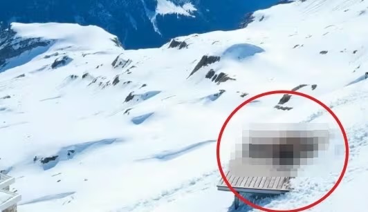 系統自動打格。  Roundshot