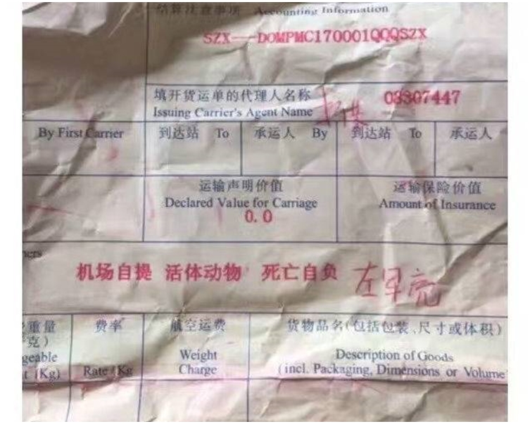職員解釋,「死亡自負」是指包裝。