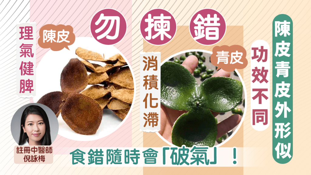 青皮陳皮功效不同,中醫指食錯可致破氣。