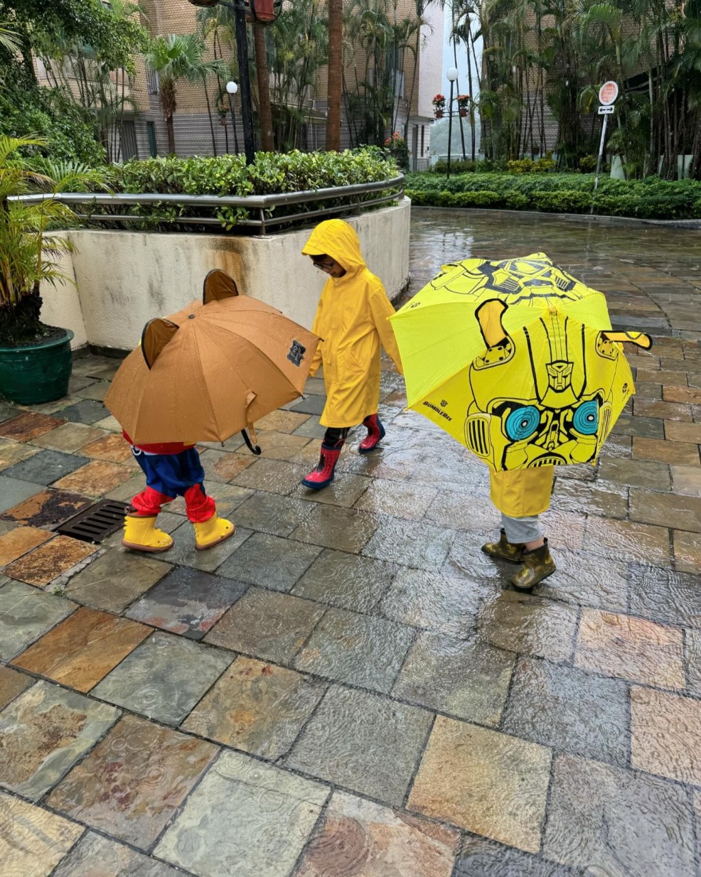胡杏兒三名兒子下雨天外出，大家都穿上防雨衣物及撐雨傘。