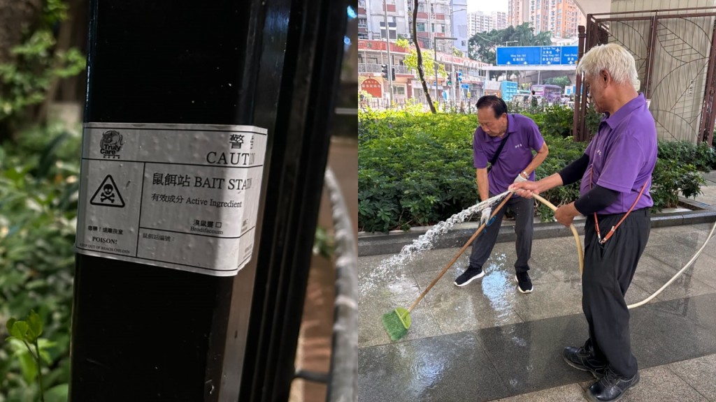 櫻桃街公園鼠患｜康文署加強清潔滅鼠 安排專家視察及擺放藥餌