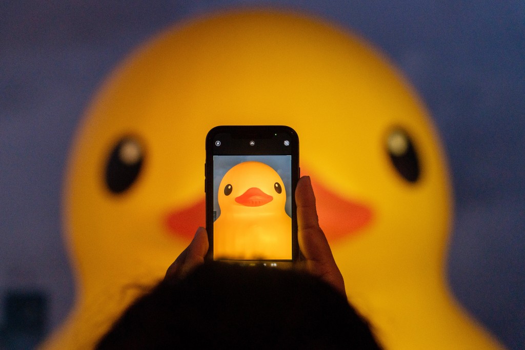 晚上市民与黄色巨鸭拍照。吴艳玲摄