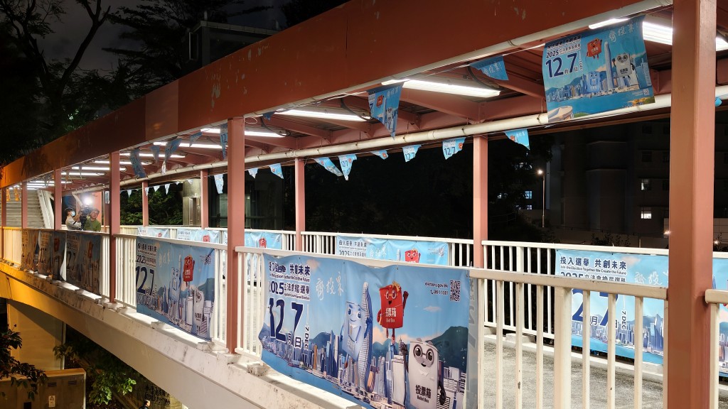 多幅立法會選舉宣傳海報成列損毀。