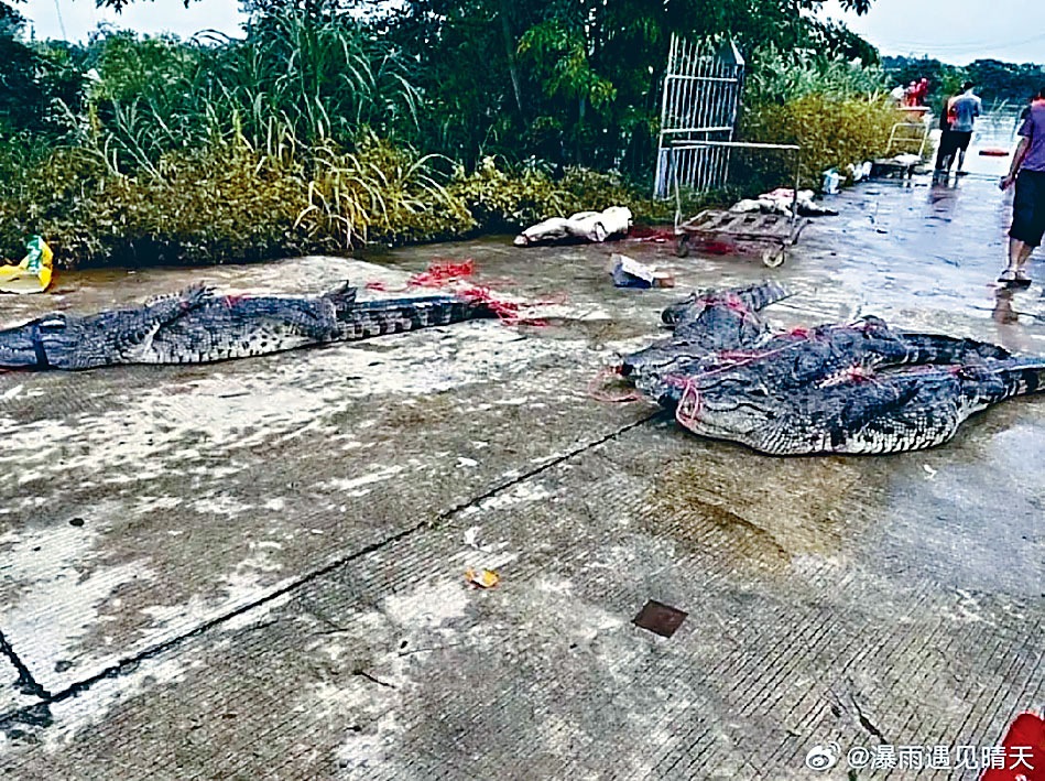 救援人員出動橡皮艇搜救。