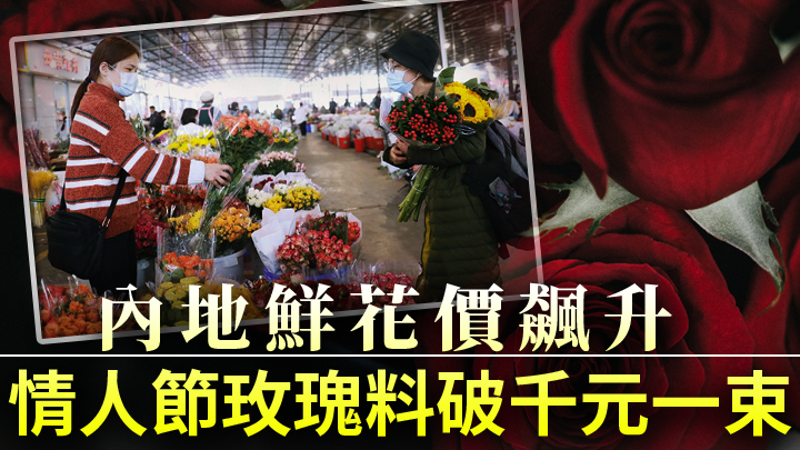 業界人士指出,鮮花價格比往年同期高出一截。互聯網圖片及unsplash圖片