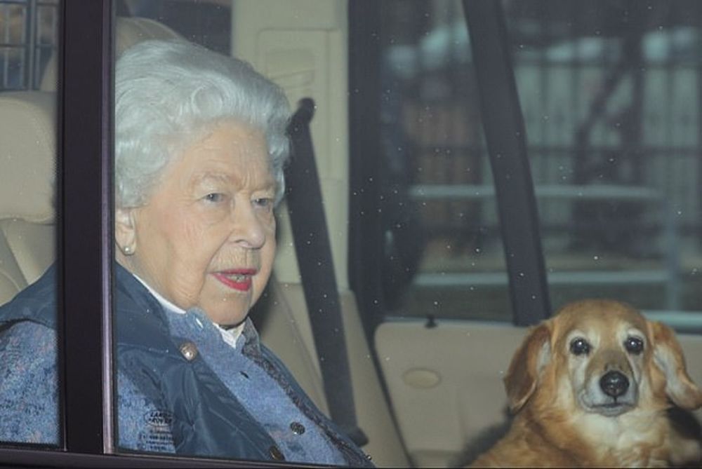 英女皇出门经常带着爱犬。