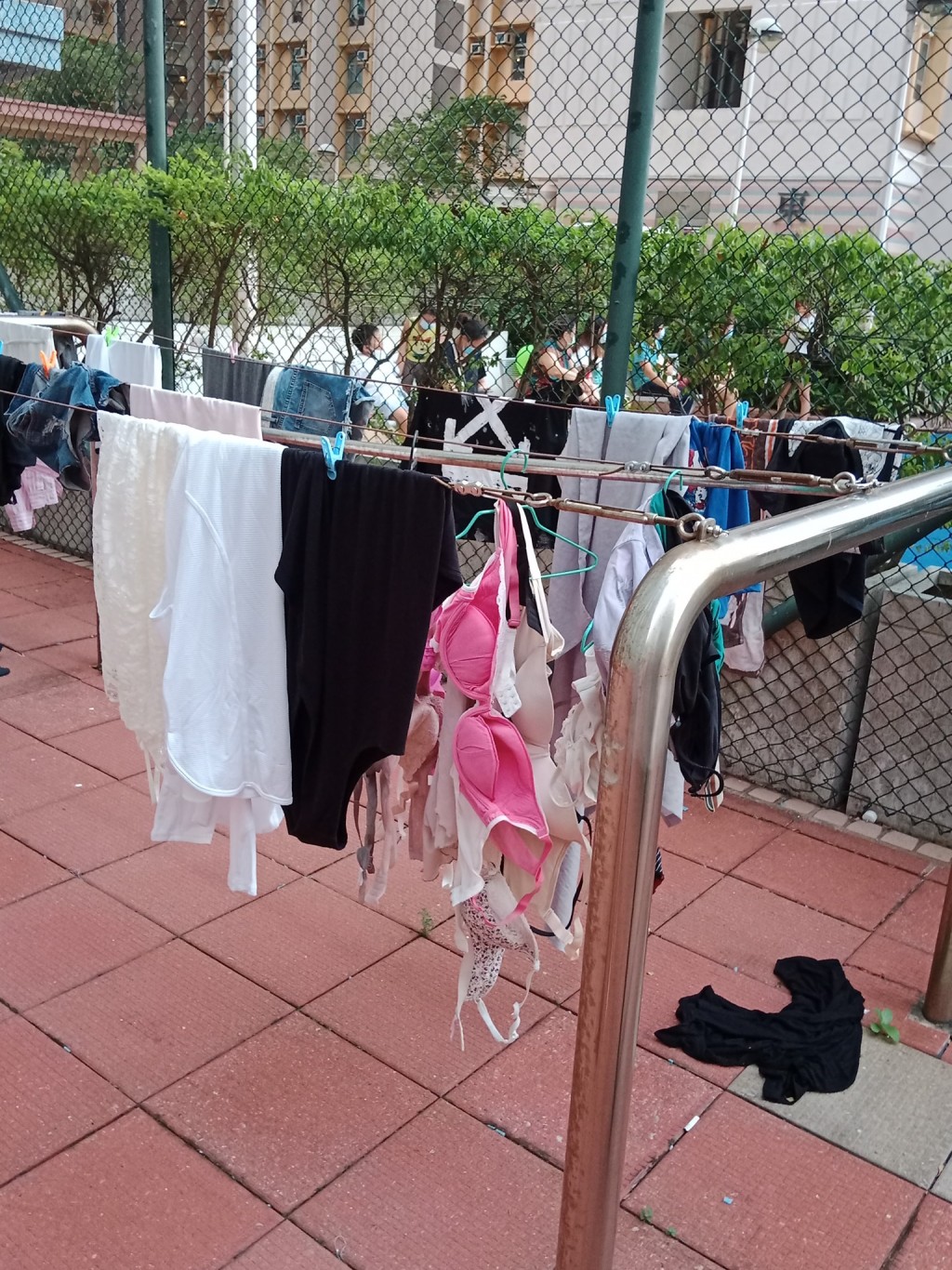 愛東邨有街坊於公共晾衫架曬桃紅色胸圍。FB圖片