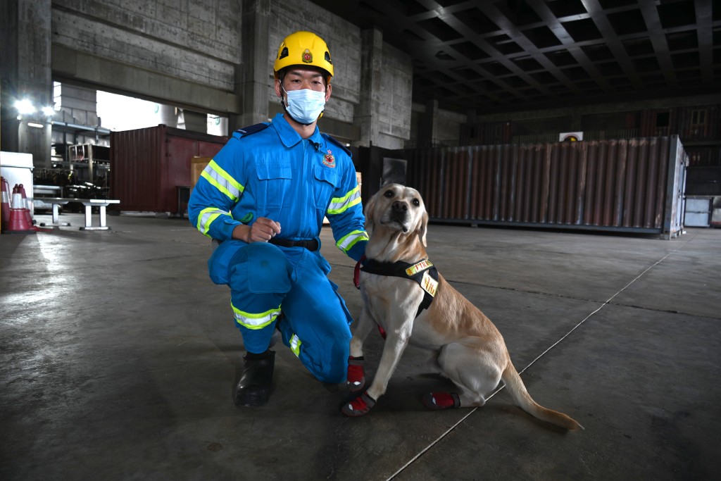 消防处火警调查犬队领犬员苏汉乐与拍挡Stig合作3年。梁文辉摄