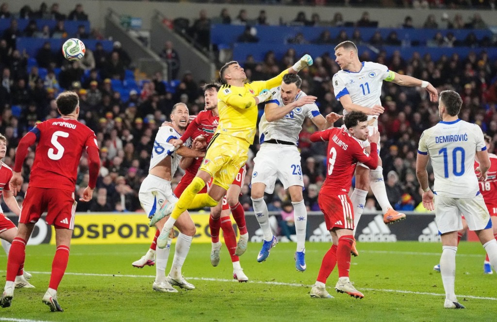 迪斯高在比赛最后阶段替波斯尼亚追平。美联社