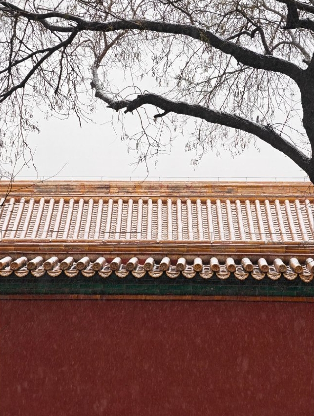 北京下雪。 微博@愛吃西瓜的彭彭 北京下雪。 微博@愛吃西瓜的彭彭