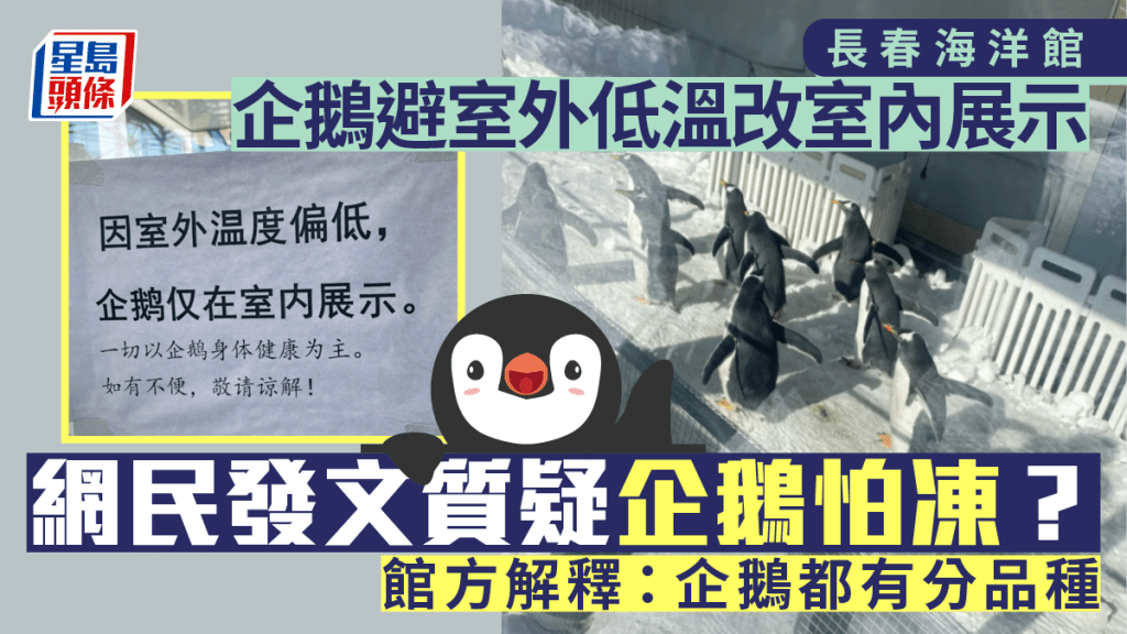 長春海洋館告示：因室外太冷，企鵝僅在室內展示。