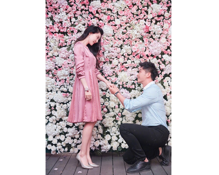 李晨向范冰冰成功求婚,可惜卻未能開花結果。