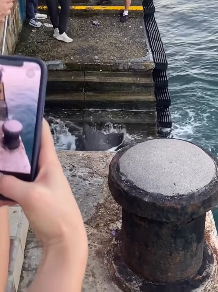 facebook截圖（資料來源：Ken Yu＠facebook筲箕灣西灣河關注組）