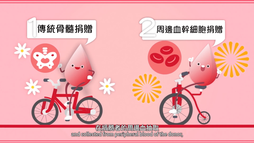 (圖片來源:YouTube@香港紅十字會輸血服務中心 ABO 頻道 ) (圖片來源:YouTube@香港紅十字會輸血服務中心 ABO 頻道 )