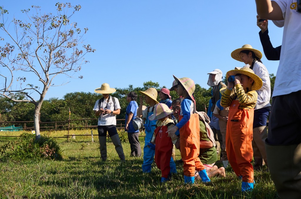 親子好去處︳「水口豐饒節」體驗水口的農田與生態（圖片來源：香港觀鳥會）