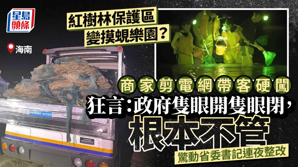 海南紅樹林變「趕海樂園」  央視踢爆商家剪電網帶客闖保護區