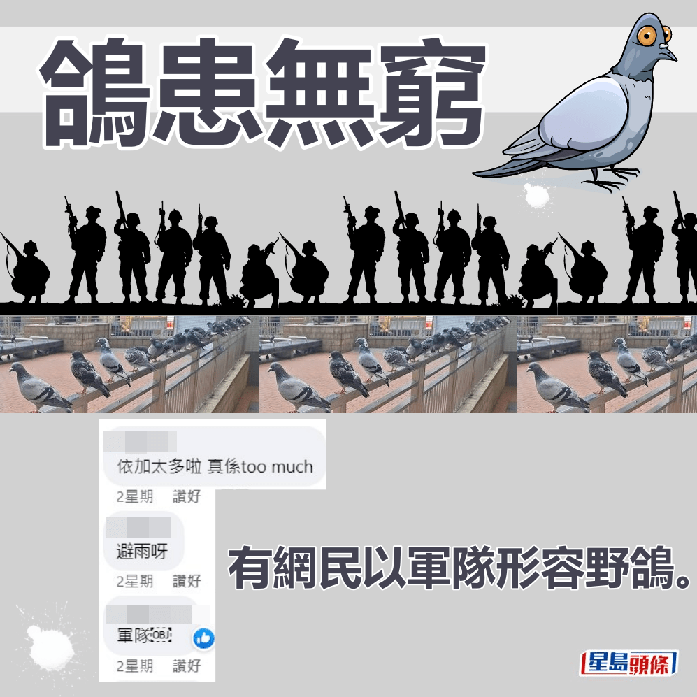 有網民以軍隊來形容野鴿。fb「將軍澳主場」截圖