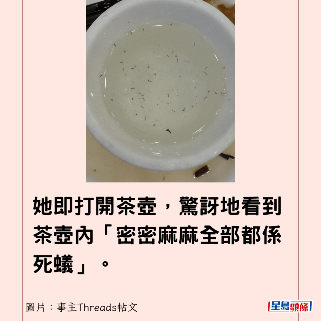 她即打開茶壺，驚訝地看到茶壺內「密密麻麻全部都係死蟻」。