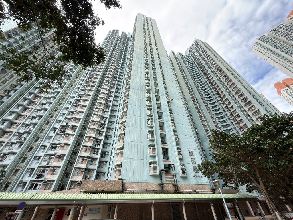 白田邨麗田樓一對父子發生爭執。梁國峰攝 白田邨麗田樓一對父子發生爭執。梁國峰攝