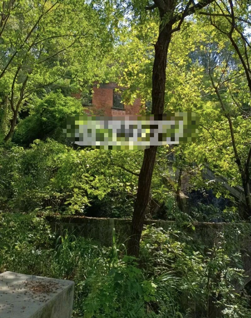 事發路段。南方都市報