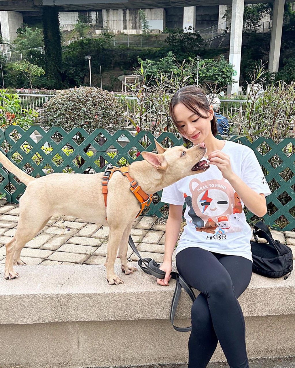 梁雍婷私下好有愛，熱愛動物的她領養狗狗Zelda。