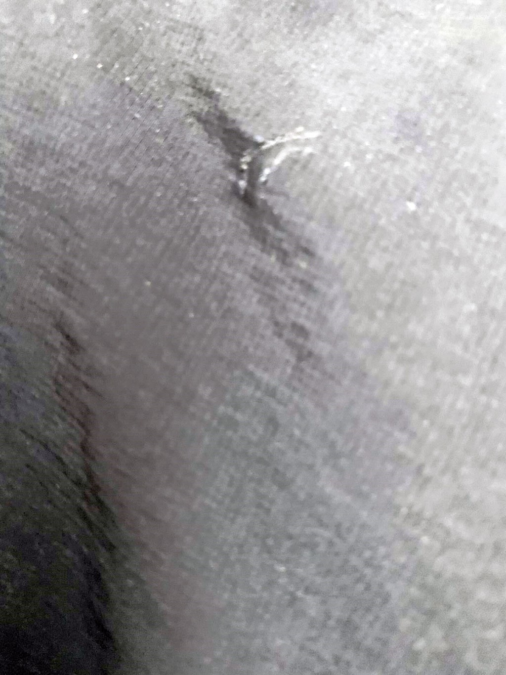 Threads截圖(資料來源:maipingdidi@Threads) Threads截圖(資料來源:maipingdidi@Threads)