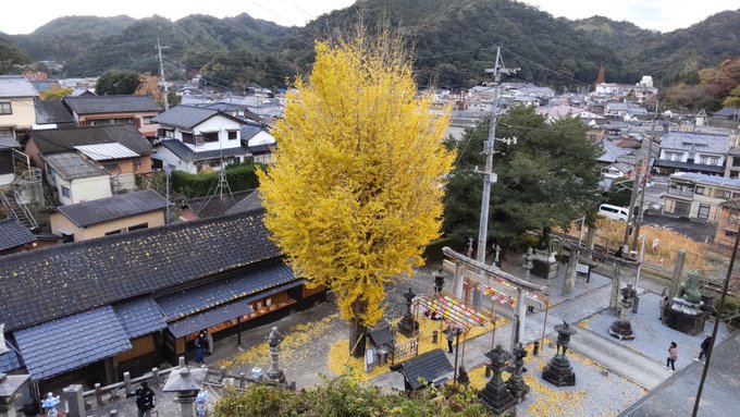 陶山神社。 X@YqAcBBmEQzFwLYw