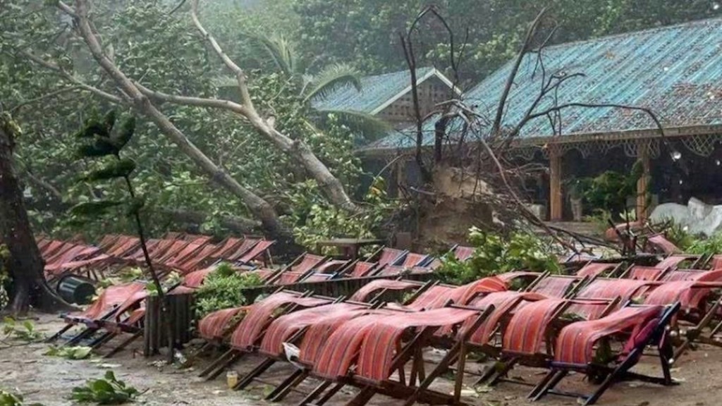 中国女游客在韦帕吹袭泰国时，于珊瑚岛被大树压死。小红书＠曼谷陈大叔