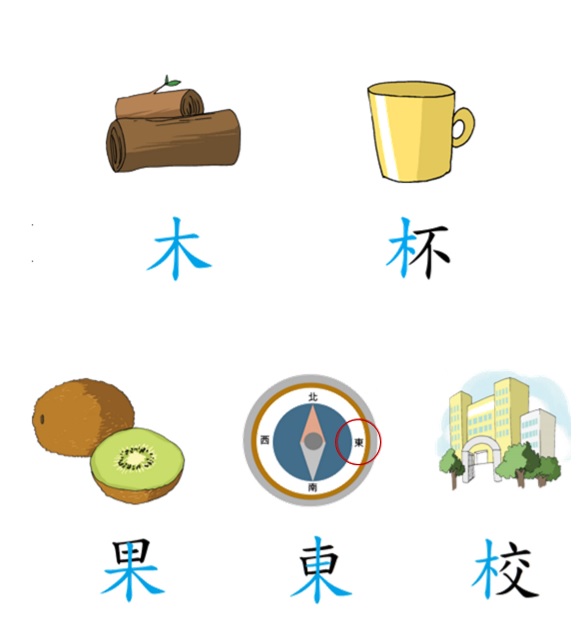 （圖片來源：教育局）