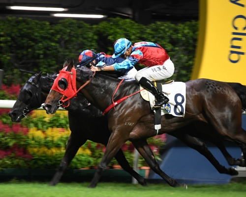 「騰龍超影」在終點線上險勝對手,贏岀今季第二場頭馬。