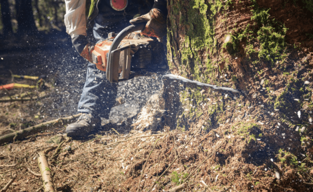 亚伦・恩格尔是名伐木工。Alamy