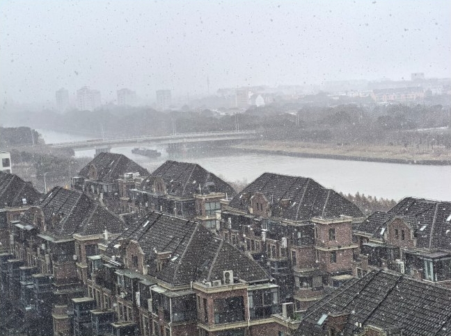 上海下雪。  微博@張抗抗KK
